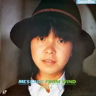 La mejor selección de delfines y delfines