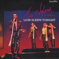 The NYOLONS / LION SLEEPS TONIGHT