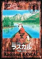 Mapache Rascal Vol. 13
