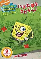 SpongeBob : Search for Dreams