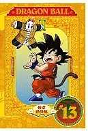 龙珠13