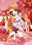 BAKEMONOGATARI, Volume 4 / Nanoko Denis Bélanger [Regular Edition]