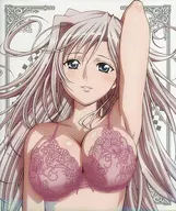 Princess Lover! Vol. 5 Celebrity Edition