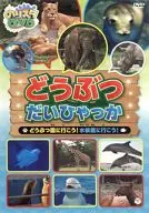 RYOSTA DVD去動物園吧！去水族館吧！