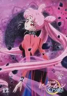 美少女戦士セーラームーンCrystal 12 [通常版]
