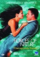 愛情就像暴風雨一樣