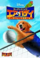 超级热狗Air Buddy沙滩排球危机一发！