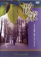散策(’00韓国)