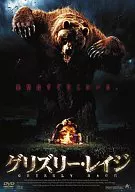 Western Paint/Grizzly Rage (06 Rice)