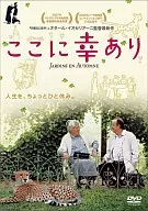 Here is happiness (' 06 Buddha, Italy, Russia).