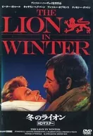 Lion HD Master in Winter