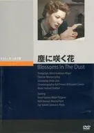 塵に咲く花