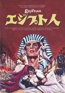 埃及人