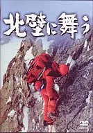 飛到北牆上