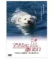 マリリンに逢いたい[期間生産限定]