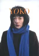 658km、陽子の旅