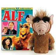 alf> 舞步寵物加