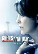 Anexo : Temporada 11 de Grey's Anatomy DVD Collectors BOX Parte 1