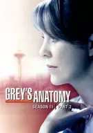 Anexo : Temporada 11 de Grey's Anatomy DVD Collectors BOX Parte 2