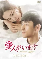 我有情人DVD-BOX 1