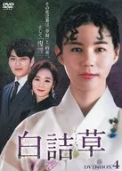 Shirazumegusa white clover DV D-Box Technologies 4