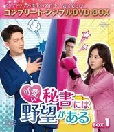 There is ambition in the lovely secretary BOX1 Complete / Simple DV D-Box Technologies [limited time production version]