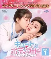 可爱的保镖-我爱的她是最强的-BOX1完全・简单DVD-BOX[限时生产版]