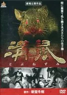 溝鼠