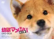 Drama 「 : Little Beast, Mamegashiba, Bogo Hen, 」, DVD-BOX