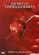 Wild Hearts : The Best of Wild Hearts (Warner Music Japan Co., Ltd.)