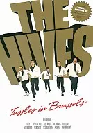 As Colméias / タッスルズ