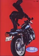 Guitar Wolf Red idol