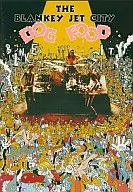 Key Jet City/DOG FOOD