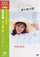 西村知美/愛の地平線 ニュージーランドからのメイル