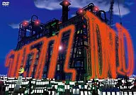 ウルフルズ/ウルフル DVD