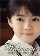 牛田智大/小夜曲～牛田智大視頻·剪輯集(暫定)