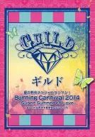 行会/夏天的野外特别超人！Burning Carnival 2014～Super Summer of Love～at日比谷野外大音乐堂2014.7.19