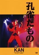 KAN/孔雀