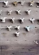 Yonekura Toshinori / Back in town decibel. one