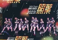 HaloPro Trainee/Hello! Project Trainee Presentation 2023 September Teruha