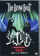 The Brow Beat / Hallucination The Brow Beat Live 2022 2022.11.10 Toyosu PIT
