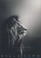 米倉利紀 / sTYle72 inc.presents  toshinori YONEKURA concert tour 2023 ”black LION”