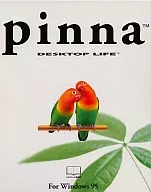 Pinna Pinna DESKTOP LIFE