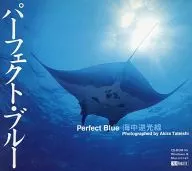 Perfect Blue undersea backlighting