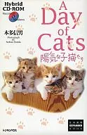 A Day of Cats 陽気な子猫たち