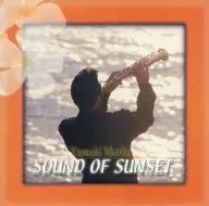 森田泰昭/サウンド オブ サンセット