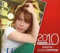 TAKANORI NISHIKAWA DIGITAL CALENDAR 2010/01-2010/12