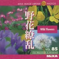 MIXA IMAGE LIBRARY Vol.85 野花繚乱