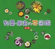 野菜・果実の花図鑑(5枚セット)