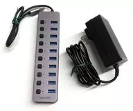 Sanwa Supply Individual Switched USB Hub (10 Port) [400-HUBA23GM]